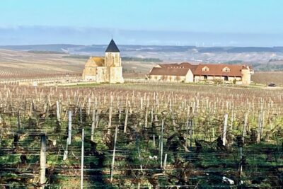15 Burgundy Wines Chateau Pommard, Chablis Small-Group - Jean-Marc Brocard in Chablis: caves, process, and comparing Grand Cru levels