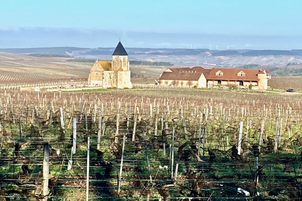 15 Burgundy Wines Chateau Pommard, Chablis Small-Group - Jean-Marc Brocard in Chablis: caves, process, and comparing Grand Cru levels