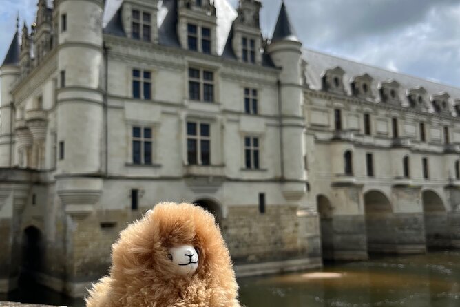 3 Loire Valley Castles and Wine Tasting Private Guided Tour - Plou et Fils Wine Tasting: 7 Wines at a Winery Dating to 1508