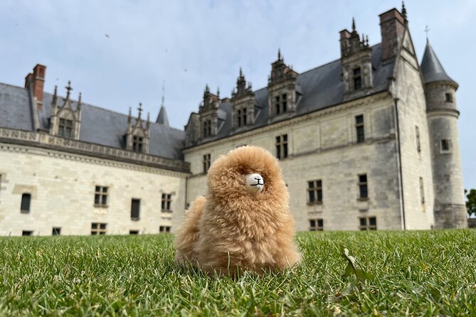 3 Loire Valley Castles and Wine Tasting Private Guided Tour - The Real Schedule: How to Survive 12 Hours and Still Enjoy It