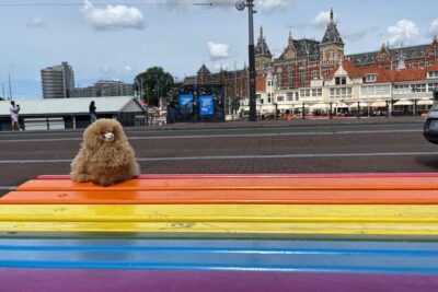 A 3 Days Tour of Belgium and Netherlands from Paris - Day 1: Bruges tastings, Rotterdam cube-house photos, then Amsterdam