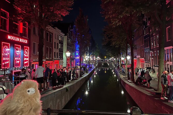 A 3 Days Tour of Belgium and Netherlands from Paris - Private guide in English (and why it changes everything)
