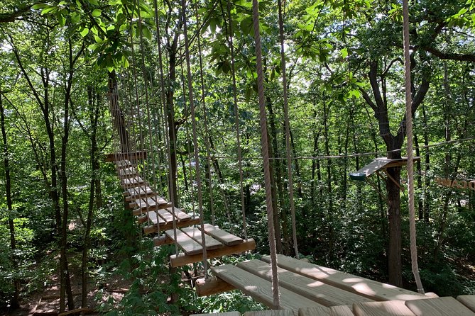 Accrobranches course in the middle of the forest in Saint-Germain-en-Laye - Key things to know before you go