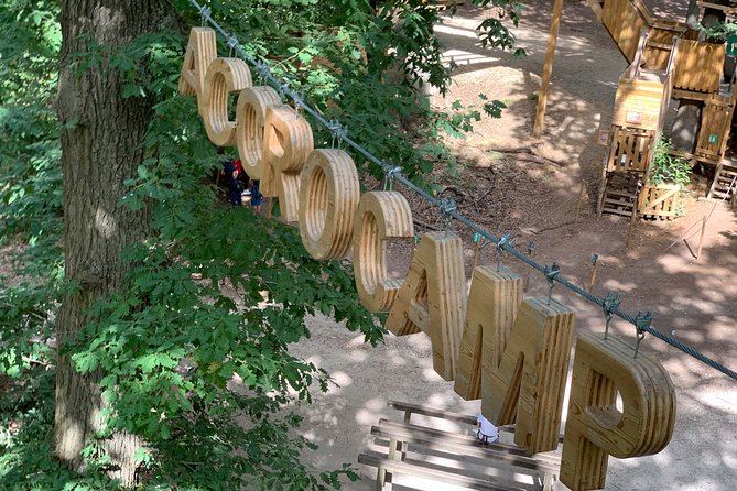 Accrobranches course in the middle of the forest in Saint-Germain-en-Laye - A practical tip list I’d use before you arrive