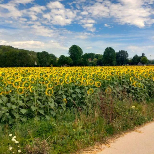Bike tour from Vernon to Giverny with local guide - Monet’s gardens timing: skip the line is the move
