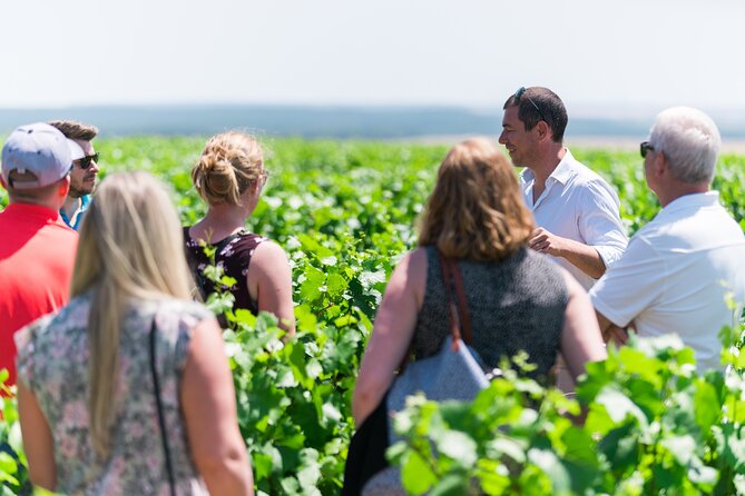 Burgundy Wine Tasting Small-Group Tour in Chablis from Paris - The Drive Through Burgundy Vineyards to Chablis