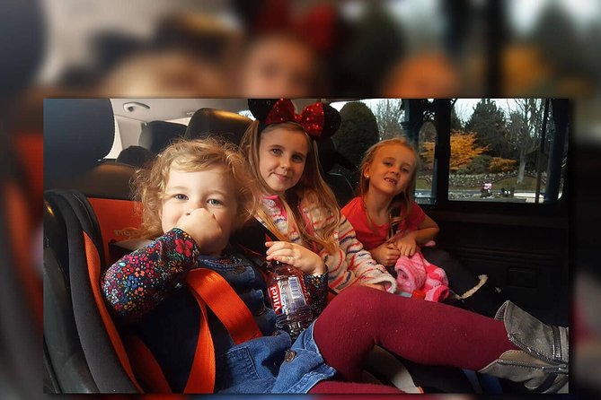 CDG - Euro Disney One Way Private Shuttle Transfer - Key Points at a Glance