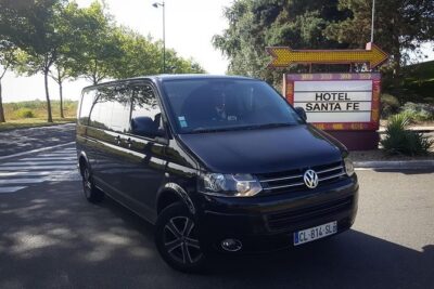 CDG - Euro Disney One Way Private Shuttle Transfer - Kids in the Back: Seats, Boosters, and On-Board Movies
