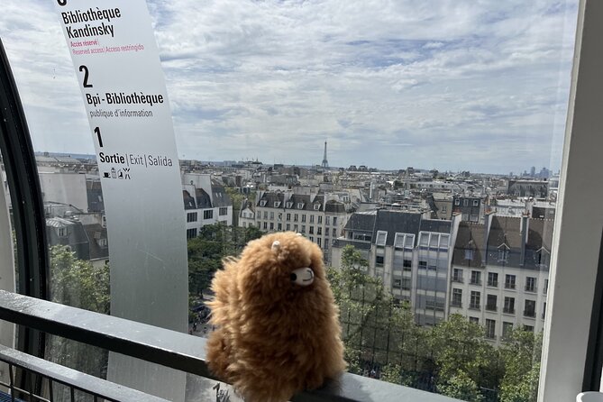 Centre Pompidou: Museum Ticket Entry& 3h Private Guided Tour - Key things to know before you go