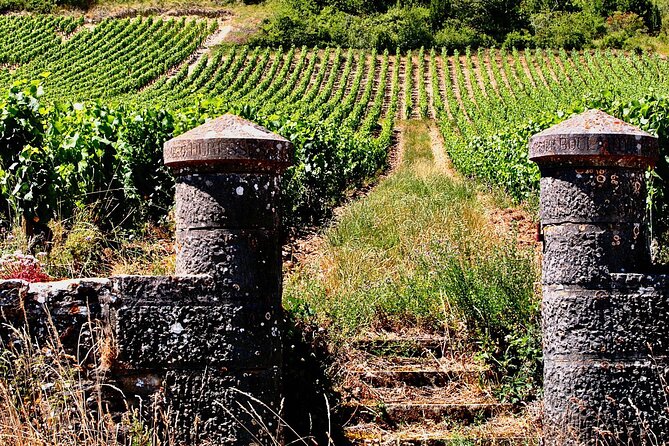 Chablis 20 Exquisite Wines Tasting Trip in Small-Group from Paris - Chablis Village and the Optional Tasting Gap: Use Your Time Smartly