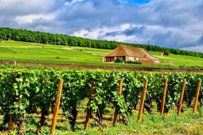 Chablis 20 Exquisite Wines Tasting Trip in Small-Group from Paris - Domaine Jean-Marc Brocard: Cellars, Cheese Pairing, and Classification Clarity