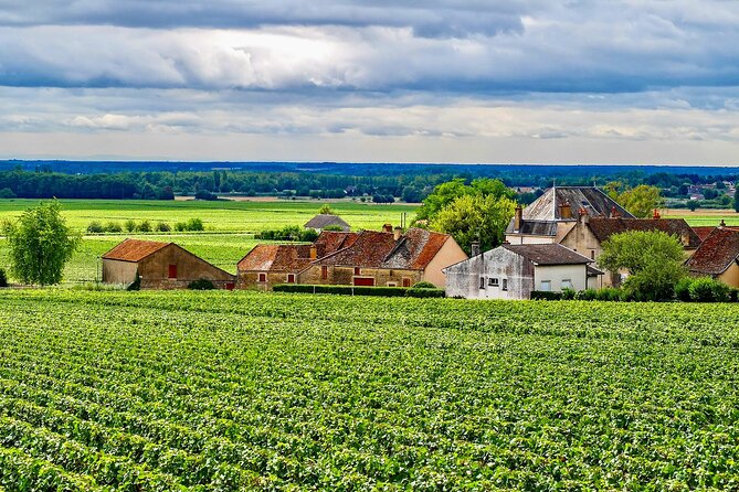 Chablis 20 Exquisite Wines Tasting Trip in Small-Group from Paris - Maison Régnard: Guided Cellars and a Sommelier-Led Tasting With Structure