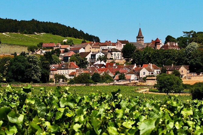 Chablis 20 Exquisite Wines Tasting Trip in Small-Group from Paris - The Sunday Twist: Different Domains, Food Market Time
