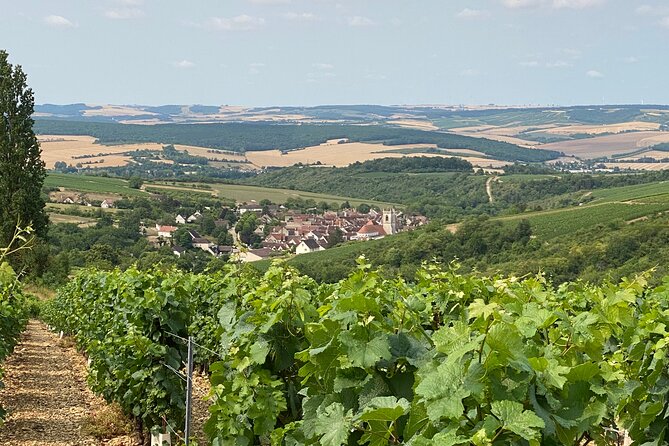 Chablis and Burgundy Wine Tour Run by Sommelier with Lunch - Stop 2: the village of Chablis and a tasting that includes a local surprise
