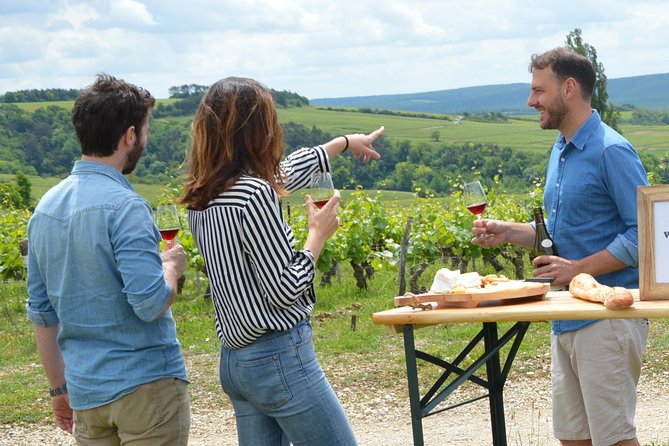 Chablis and Burgundy Wine Tour Run by Sommelier with Lunch - Stop 1 in Chablis vineyards: labels, terroir, and the monk timeline