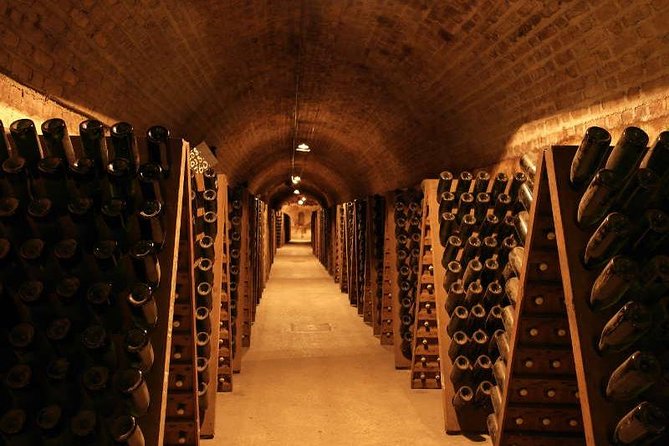 Champagne and Reims Tasting Day Trip from Paris - Montagne de Reims Views + Lunch: Food That Isn’t an Afterthought