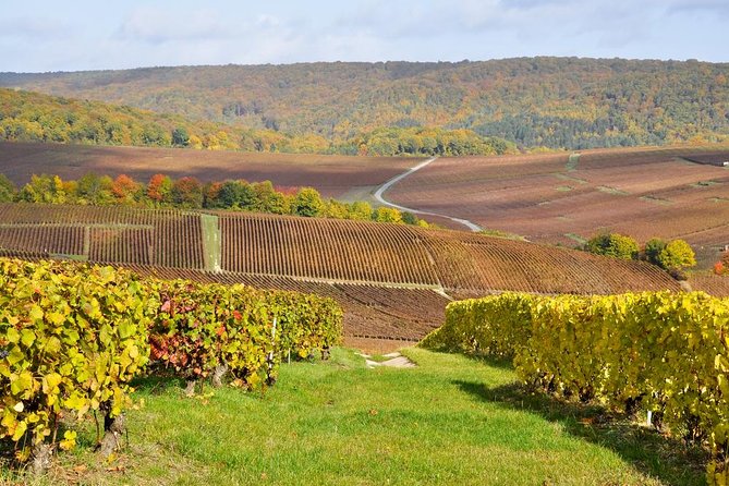 Champagne Area Small-Group Tour including a Top Champagne house & Family Winery - Key Highlights Worth Your Time