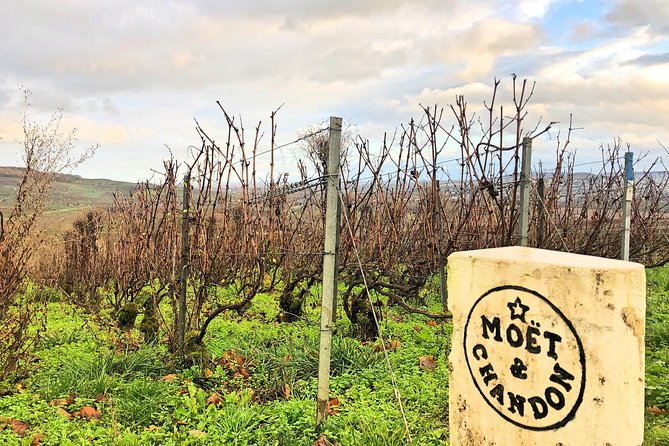 Champagne Area Small-Group Tour including a Top Champagne house & Family Winery - A Full Day in Champagne Starts in Central Paris (and Ends the Same Way)