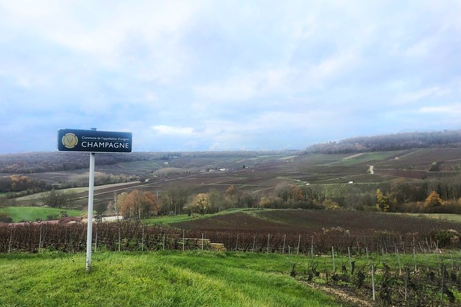 Champagne Area Small-Group Tour including a Top Champagne house & Family Winery - Cellar Comfort Tips That Save the Day