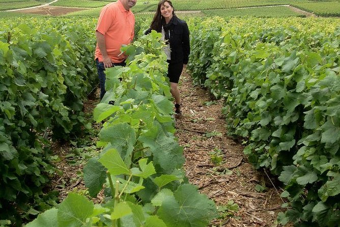 Champagne Area Small-Group Tour including a Top Champagne house & Family Winery - Moët & Chandon in Epernay: Chalk Cellars, Production Basics, and Your First Real Tasting