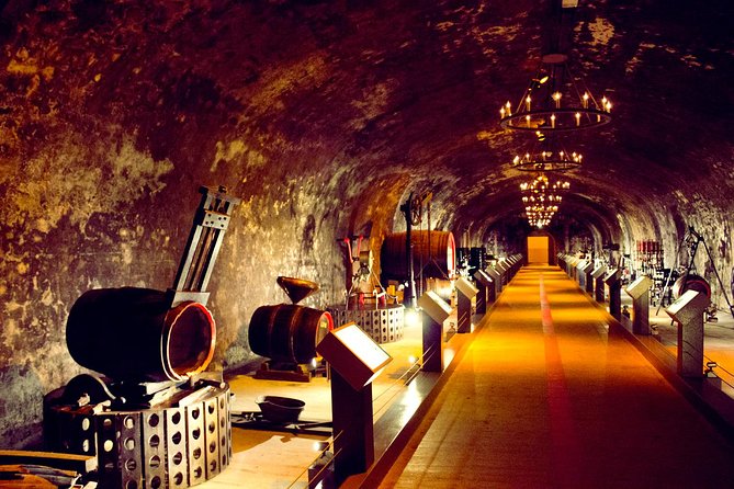 Champagne Day Tour with Reims, Cellars Visit & Champagne Tasting from Paris - Key Points I’d Prioritize