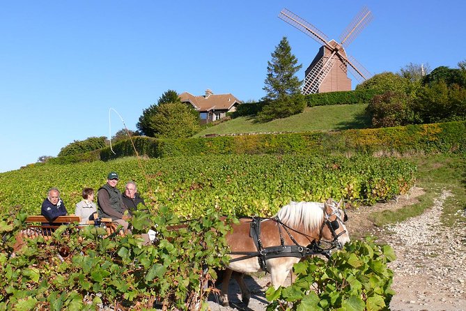 Champagne Day Tour with Reims, Cellars Visit & Champagne Tasting from Paris - Price and Logistics: Why $204.26 Can Make Sense