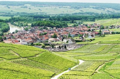 Champagne Day Trip with 6 Tastings, Reims and Winery from Paris - The early start and the minivan ride you should mentally budget for