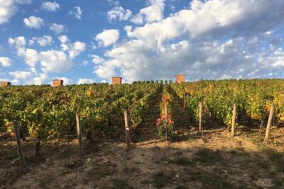 Champagne & Loire Valley Small Group Double Wine Day Tours - Loire Valley and Chambord Castle: more than a quick stop