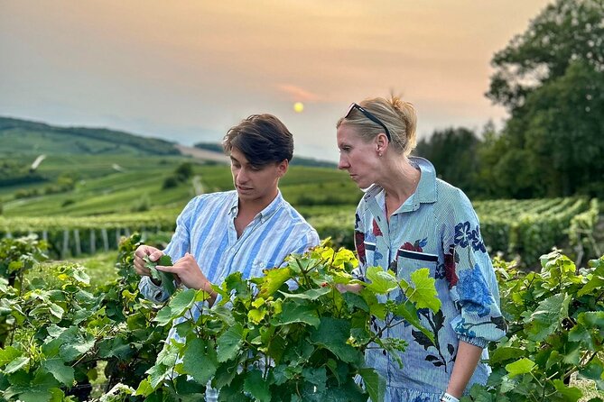 Champagne Private Wine Day Trip with Lunch and Wine Tastings - Key highlights you’ll feel right away