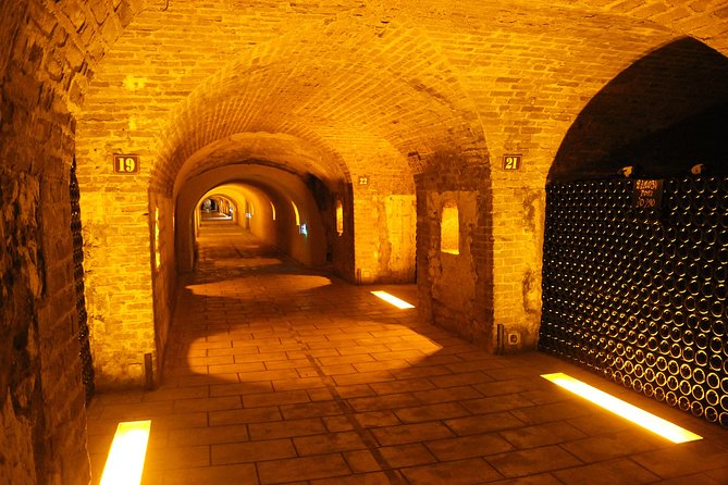 Champagne Private Wine Day Trip with Lunch and Wine Tastings - Why this Champagne day trip feels worth it (even at $1,100+)