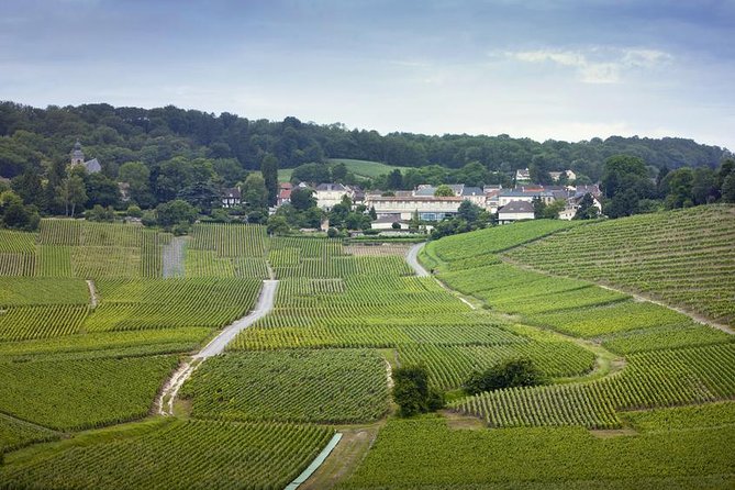 Champagne Region Private Day Trip from Paris - Key Highlights I Think You’ll Care About
