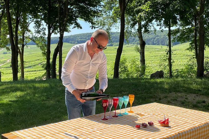 Champagne Small-Group Day Trip with Lunch and Tastings from Paris - Scenic viewpoints and Champagne-Ardenne: slow down without losing momentum