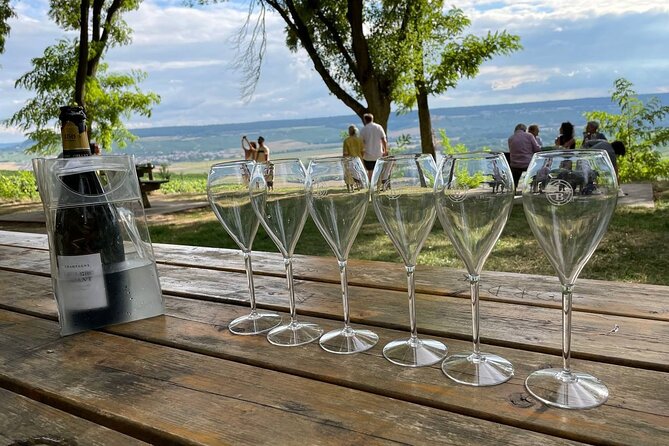 Champagne Small-Group Day Trip with Lunch and Tastings from Paris - How the tastings add up—and how to make them work for you