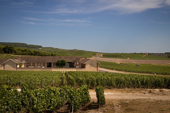Champagne Tasting Tour Day Trip From Paris - Getting back to Paris: timing and traffic reality