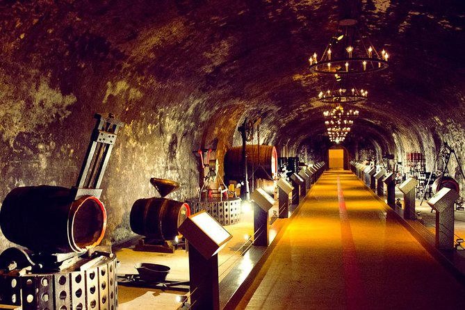 Champagne Tour from Paris by minivan with Reims Cellars & Champagne Tasting - The Minivan Ride: Comfort, Timing, and a Real Plan