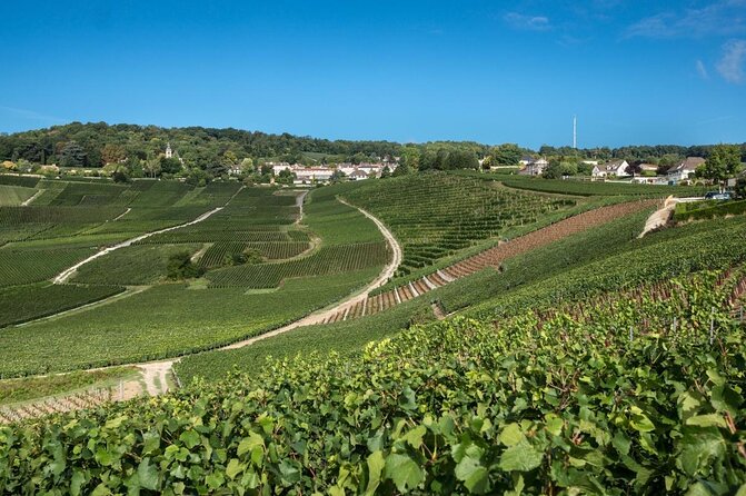 Champagne tour - Private Day trip from Paris - Key highlights worth planning for