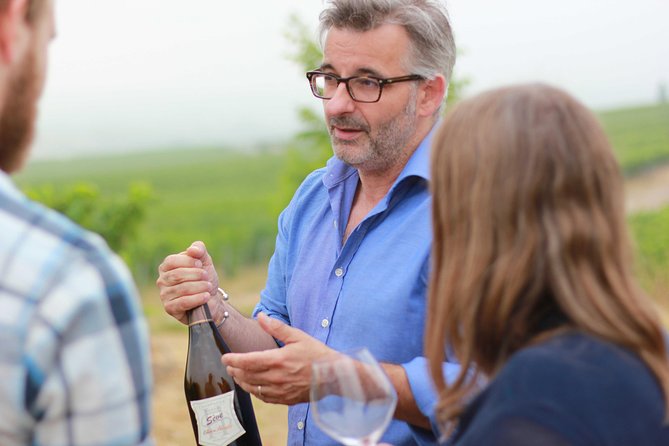 Champagne VIP Day Trip from Paris With Local PRIVATE Wine Expert Guide - Key things to know before you go