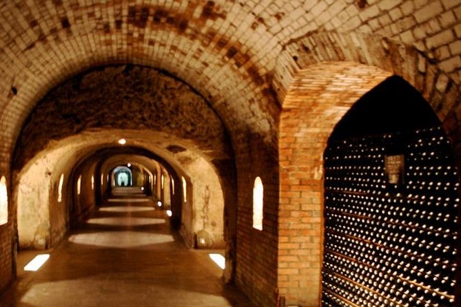 Champagne VIP Day Trip from Paris With Local PRIVATE Wine Expert Guide - Private Champagne VIP day trip: the comfort-first approach