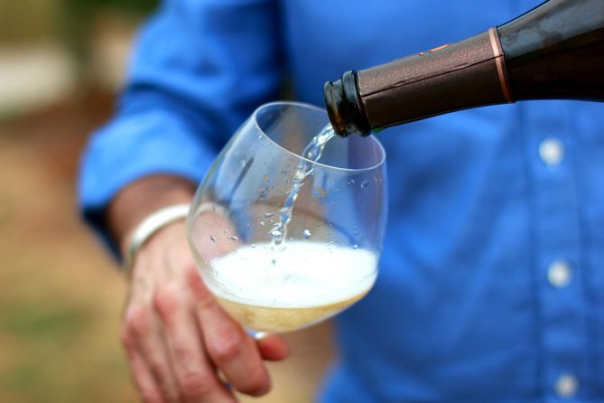 Champagne VIP Day Trip from Paris With Local PRIVATE Wine Expert Guide - Champagne-Ardenne arrival: vineyards, winemaking talk, and a morning bubbly moment