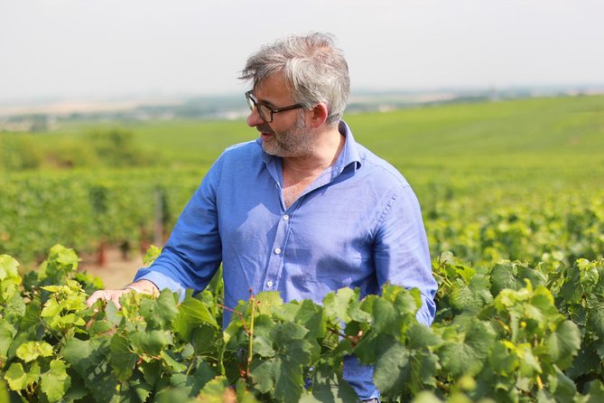 Champagne VIP Day Trip from Paris With Local PRIVATE Wine Expert Guide - Reims Cathedral in one focused hour: crowns, Gothic drama, and a breather