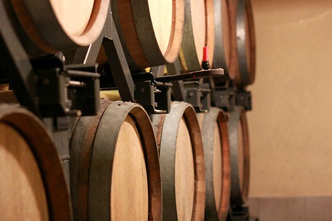 Champagne VIP Day Trip from Paris With Local PRIVATE Wine Expert Guide - Price and value: what you’re actually paying for