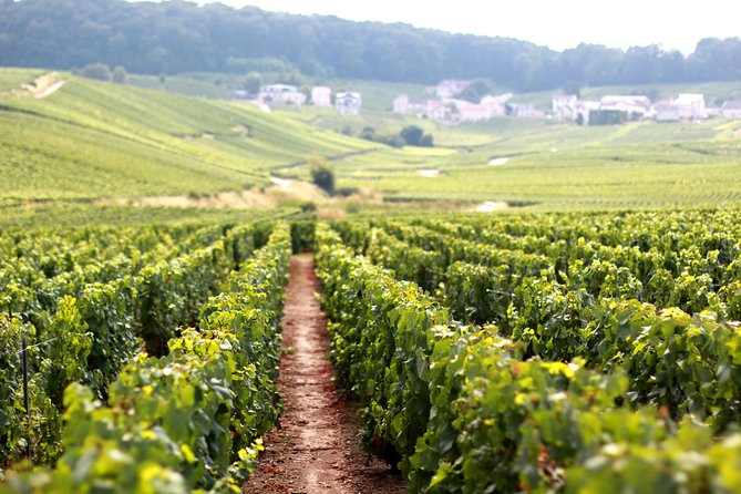 Champagne VIP Day Trip from Paris With Local PRIVATE Wine Expert Guide - Meeting at Gare de l’Est and the flow of the day