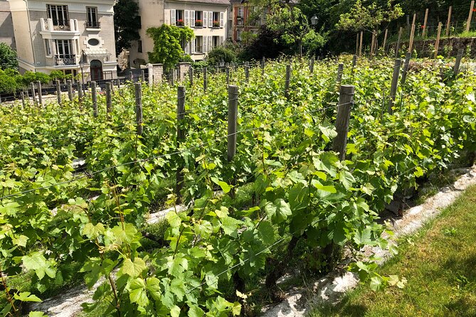 Clos Montmartre 'Paris in your Glass' Wine Tasting - Place du Tertre tasting: rare wine, blind pour, and cheese you’ll actually enjoy