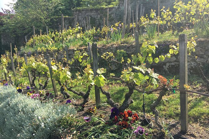 Clos Montmartre 'Paris in your Glass' Wine Tasting - Should you book Clos Montmartre Paris in your Glass?