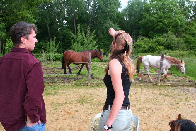 Day Trip from Paris - French Food, Rural Experiences & Horses! - Meeting Emilie at 11:00 in her old stone house