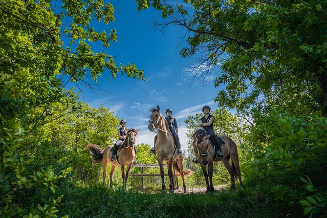 Day Trip to Fontainebleau : Horse Riding, Gastronomy and Castle - Why Fontainebleau Horse Riding and Château Tours Work So Well Together
