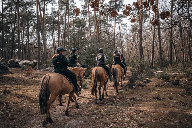 Day Trip to Fontainebleau : Horse Riding, Gastronomy and Castle - Who Should Book This Private Day Trip From Paris