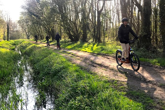 Discover Versailles on electric 2-wheelers (Yes to PRM) - La Lanterne and Apollon: Presidential Quiet and a Fountain Moment