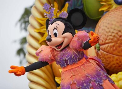 Disneyland® Paris 1-Day Flexible Date Ticket - Registration, Reservations, and ID Checks at the Gate