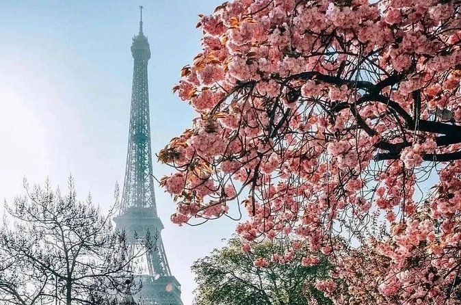 Eiffel Tower Guided Access up to the 2nd Floor or Summit by Lift - Value for $66.28: convenience you can feel (and where it can fall short)